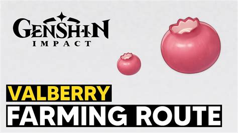 Valberry Farming Route (Valberry Location) - Genshin Impact - YouTube