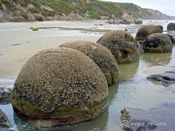 Moeraki Boulders - Legend or Science: Let's Solve this NZ Mystery