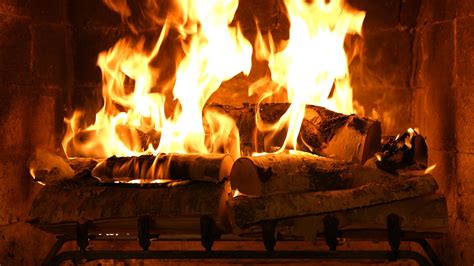 Fireplace 4k crackling birchwood - kosherapo