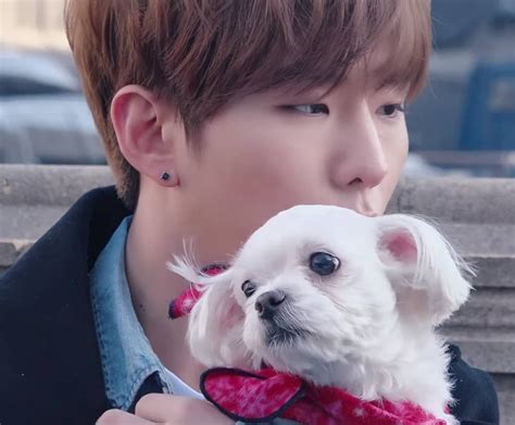 I can't get over how cute Kihyun was with this adorable dog #몬스타엑스 #몬베베 ...