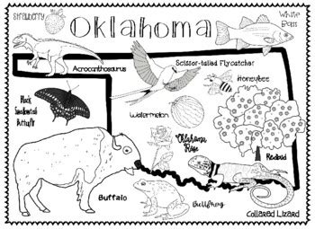 Oklahoma's State Symbols by Connecting with Social Studies | TPT