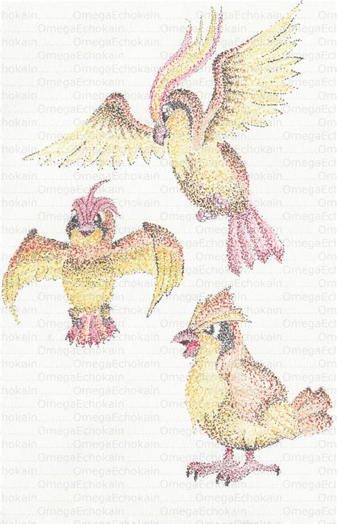 Pidgey Evolution by OmegaEchokain on DeviantArt