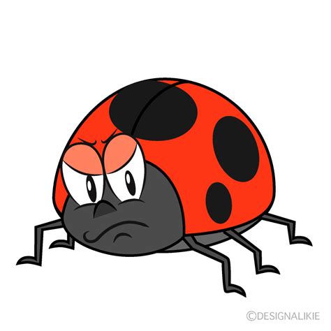 The Grouchy Ladybug Characters