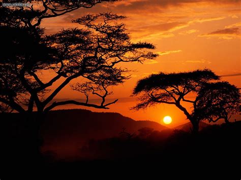 Serengeti_National_Park_Sunset_Tanzania • SELVD