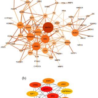 Protein-protein interaction network analysis. (a) Protein-protein ...