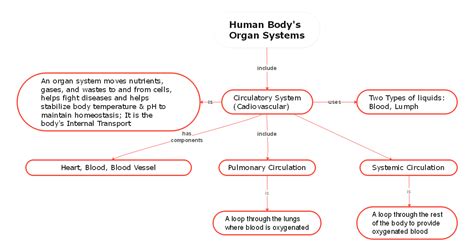 Biology Concept Map Complete Guide with 30+ Examples | EdrawMind