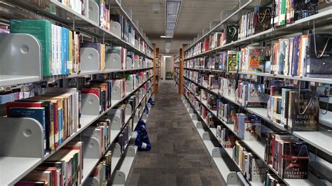 Mesa Public Library announces expansions as new director takes over ...