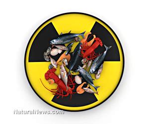 Radioactive fish continue to be caught near Fukushima - NaturalNews.com