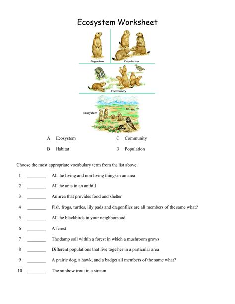 Ecosystem Worksheet