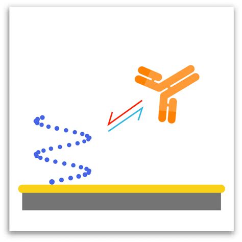 Antibody Epitope Mapping | Carterra