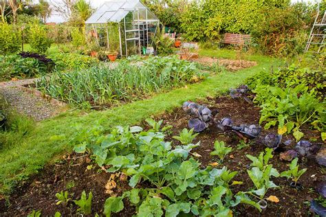 11 of the Best Fertilizers for Growing Vegetables | Gardener’s Path