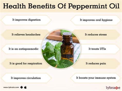 Benefits of Peppermint Oil And Its Side Effects | Lybrate