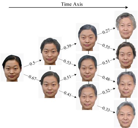 A Dynamic Model for Face Aging Simulation