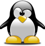 Penguin Hirer Hiring Top - Free vector graphic on Pixabay