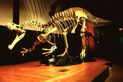 Baryonyx Facts, Diet, Adaptation, Behavior and Description