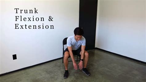 Trunk Flexion & Extension - YouTube