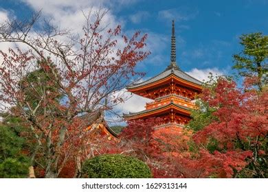 Toji Five Story Pagoda Surounded By写真素材1629313144 | Shutterstock