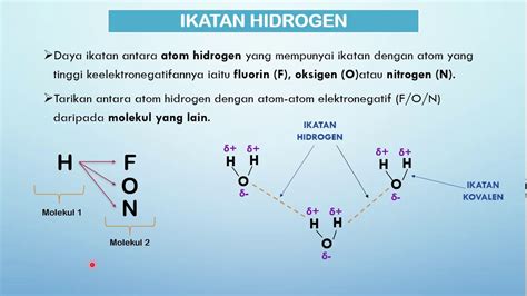 5.4 Ikatan hidrogen - YouTube