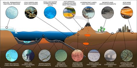 | Representative idealized cross section of Earth's crust showing the... | Download Scientific ...