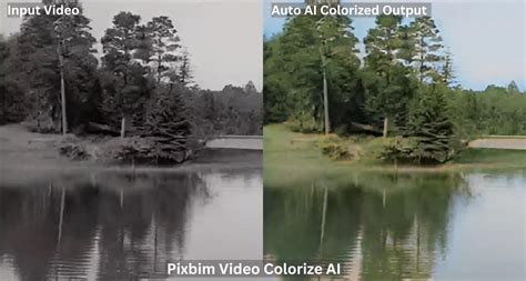 Transform Vintage Black and White Videos with Ease: Automatic Video Colorization [One click ...