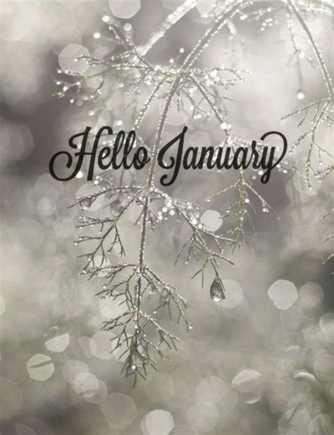 50+ Hello January Images, Pictures, Quotes, and Pics [2020] | Hello january, January wallpaper ...