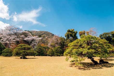 Spring Garden Scenery at Ise Grand Shrine Naiku in Mie, Japan Stock ...