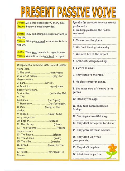 Past Continuous Tense Passive Voice Exercises - IMAGESEE