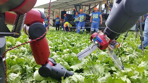 No longer a sci-fi concept: Intensive agriculture can use robotics ...