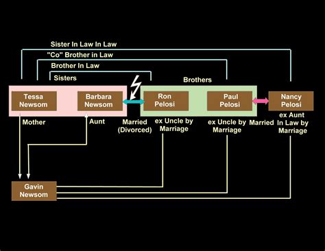 Gavin Newsom Family Tree