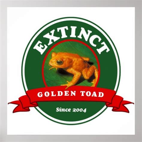 Extinct Golden Toad Poster | Zazzle