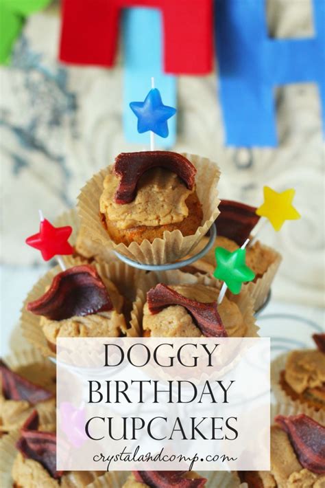 Dog Birthday Cupcakes Near Me : 4 Places To Get Cakes For Your Pets So Delhi : Visit our sweet ...