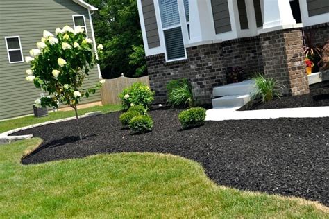 Image result for black mulch landscaping ideas | Mulch landscaping, Outdoor landscaping, Front ...