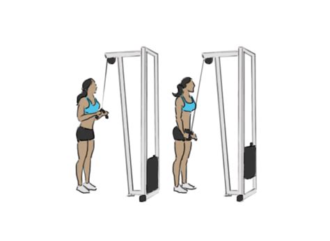 Triceps V-bar pushdown - GoFitnessPlan