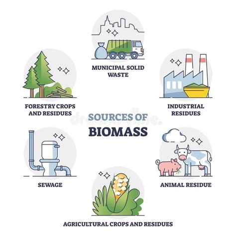 Sources of biomass energy as alternative power in outline collection ...