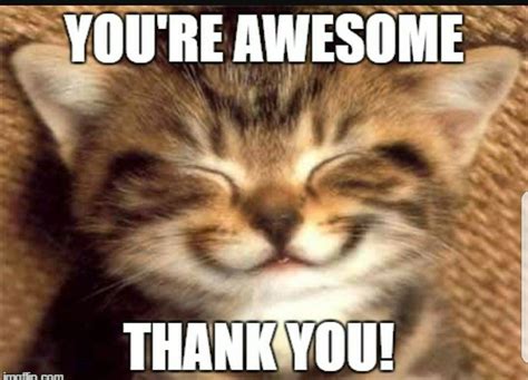 You're Awesome!! | Funny thank you quotes, Funny thank you, Thank you memes