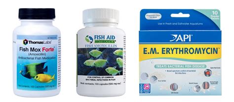 What's Fishy About Merchants Selling Fish Antibiotics? | LegitScript