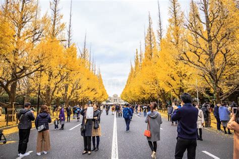 Meiji Jingu Gaien editorial stock photo. Image of leaf - 149062008