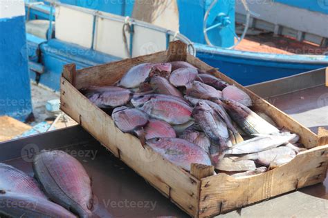 Fish market 861564 Stock Photo at Vecteezy