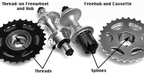 Shimano Cassettes & Freehubs