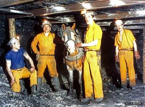 Murton Colliery (1843-1991) | Co-Curate