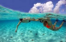 Cozumel: Coral Reefs Snorkeling & Playa Mia - Cozumel | Project Expedition