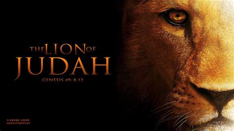 Lion Of Judah HD wallpaper | Pxfuel