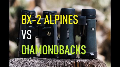 Leupold BX-2 Alpines VS Vortex Diamondback HD Binoculars 10 X 42 - YouTube