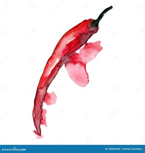 Red Chili Pepper. Watercolor Background Illustration Set. Isolated Chilli Illustration Element ...