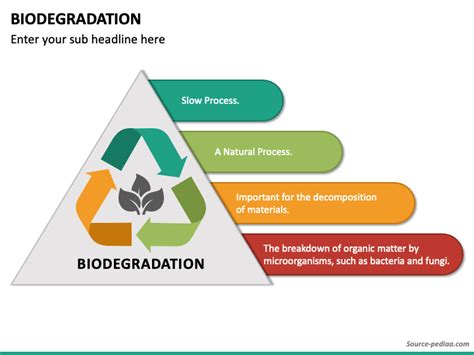 Biodegradation PowerPoint and Google Slides Template - PPT Slides