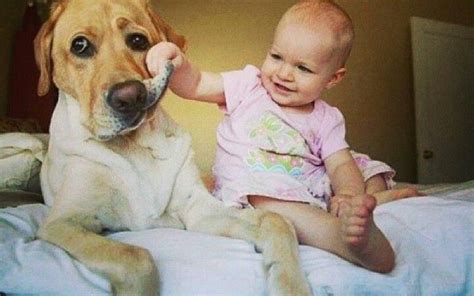 Dog of smile | Dogs and kids, Funny babies, Cute dogs