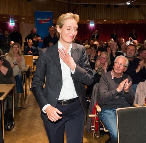 Alice Weidel: Was ist dran an der Start-up-Vergangenheit? - WELT