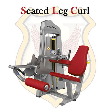 Seated Leg Curl