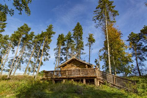 Rustic Camp Cabin Free Stock Photo - Public Domain Pictures