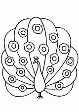Free & Easy To Print Peacock Coloring Pages  Tulamama sketch template